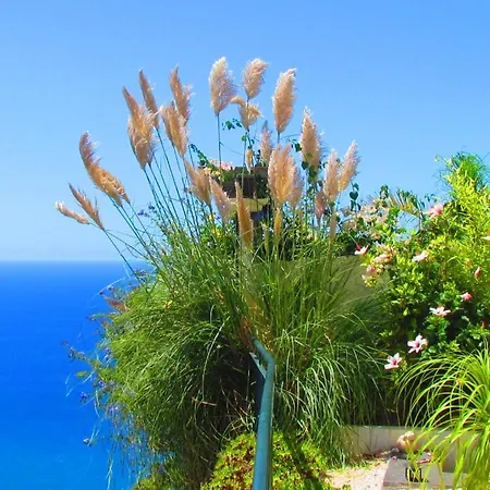 Casa Serena Apartment Arco da Calheta (Madeira)